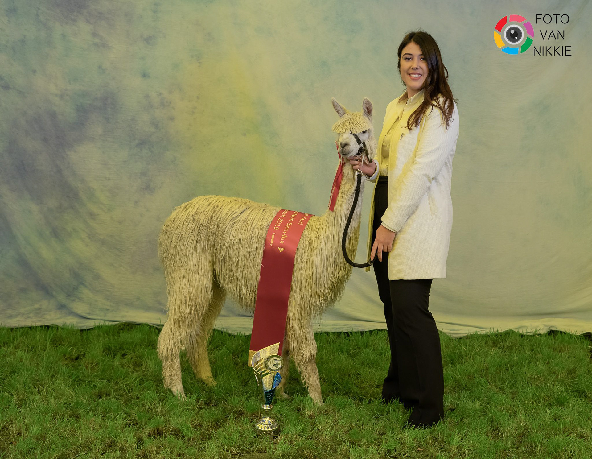 zooeasy-tester banner