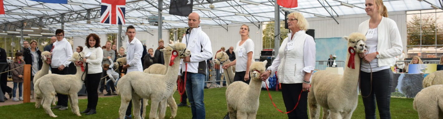 2019 Show Boekel