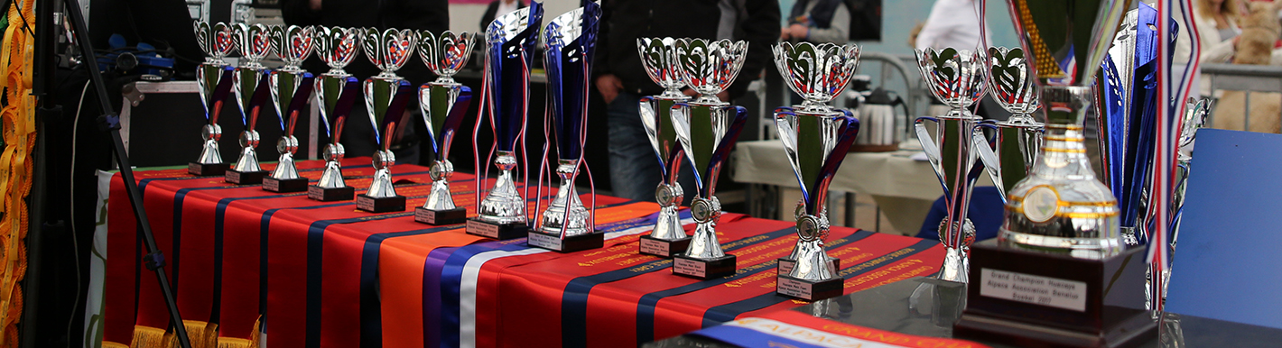 Awards