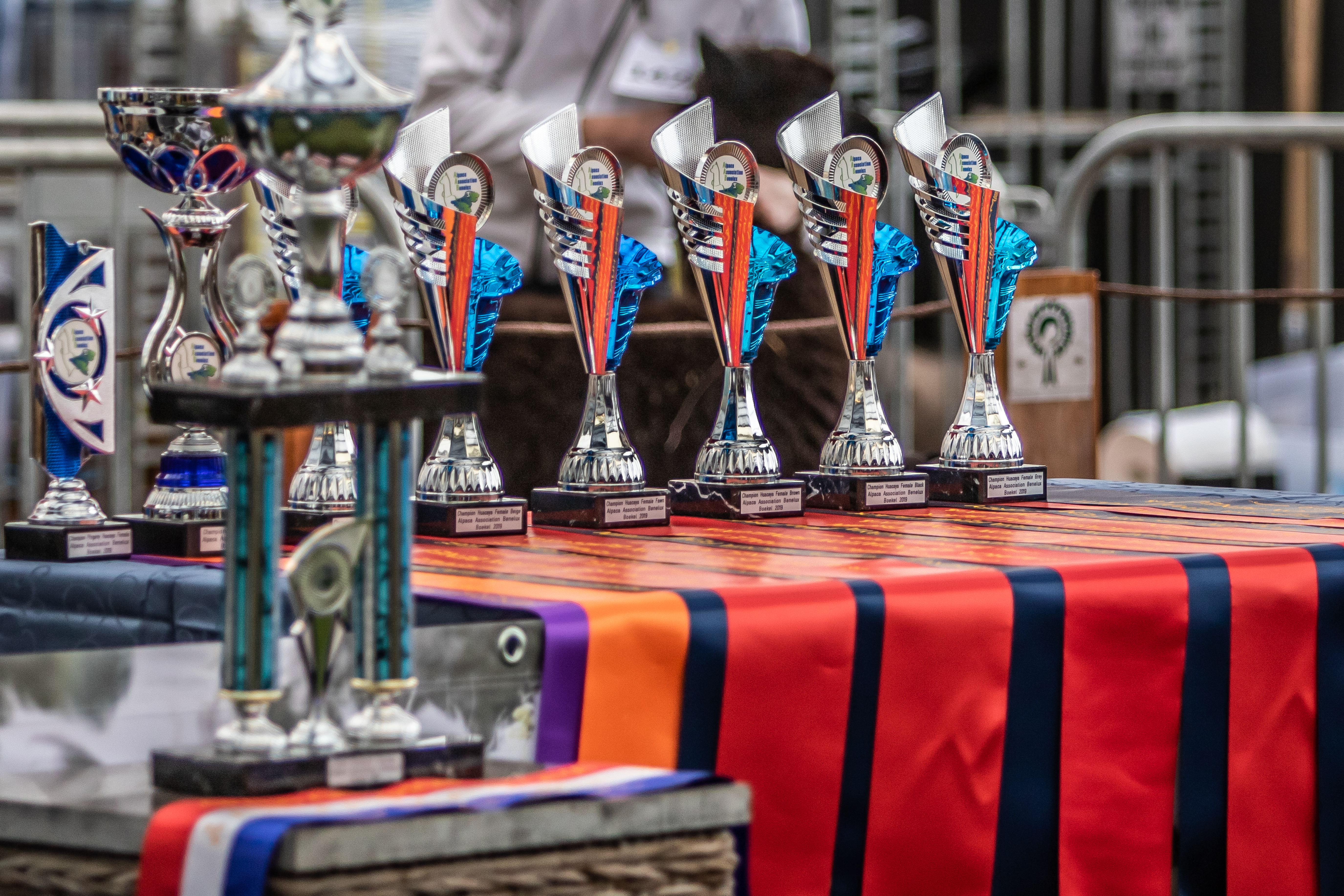 Awards