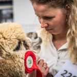 Alpacalove
