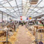 2019 Show Boekel