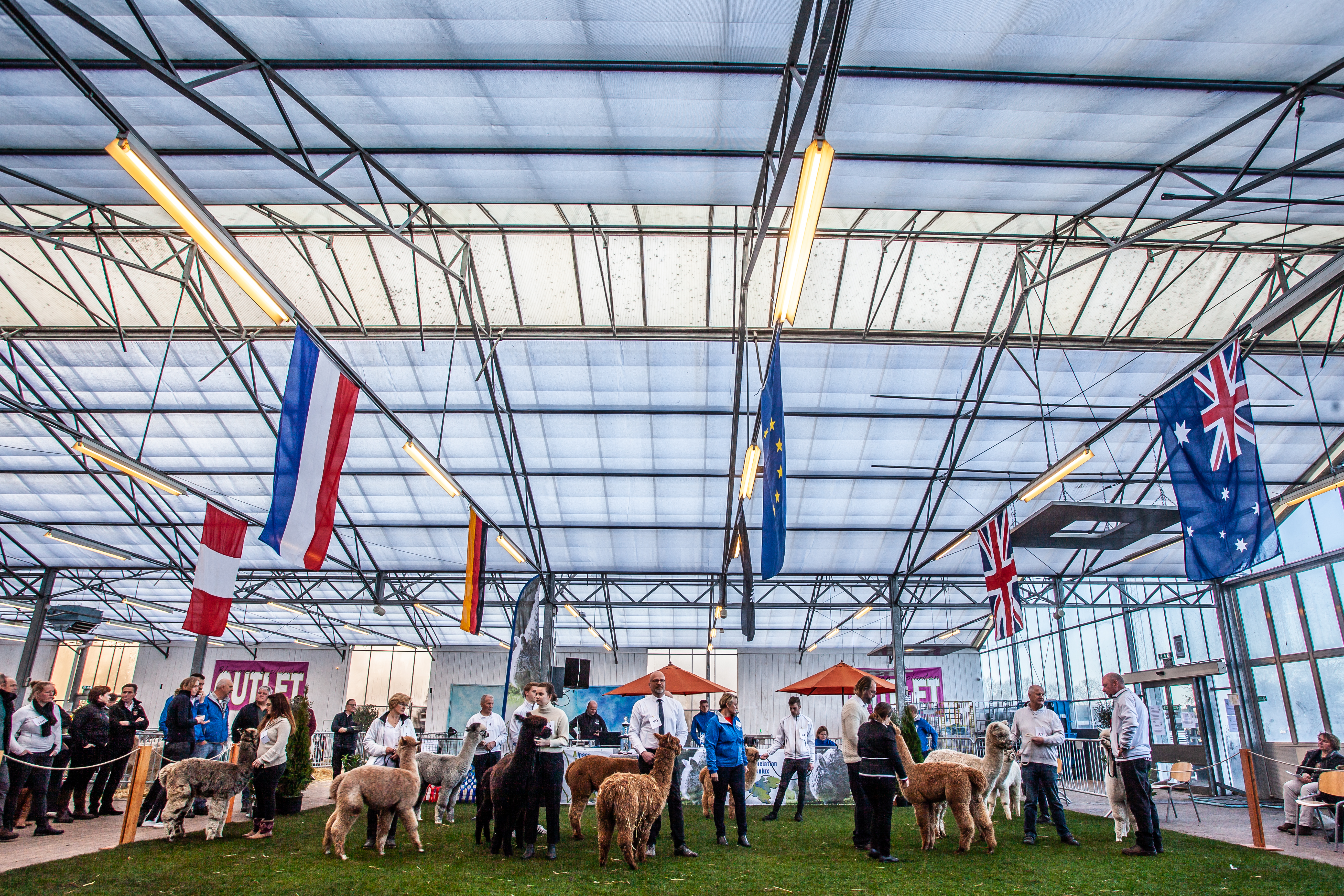 2019 Show Boekel