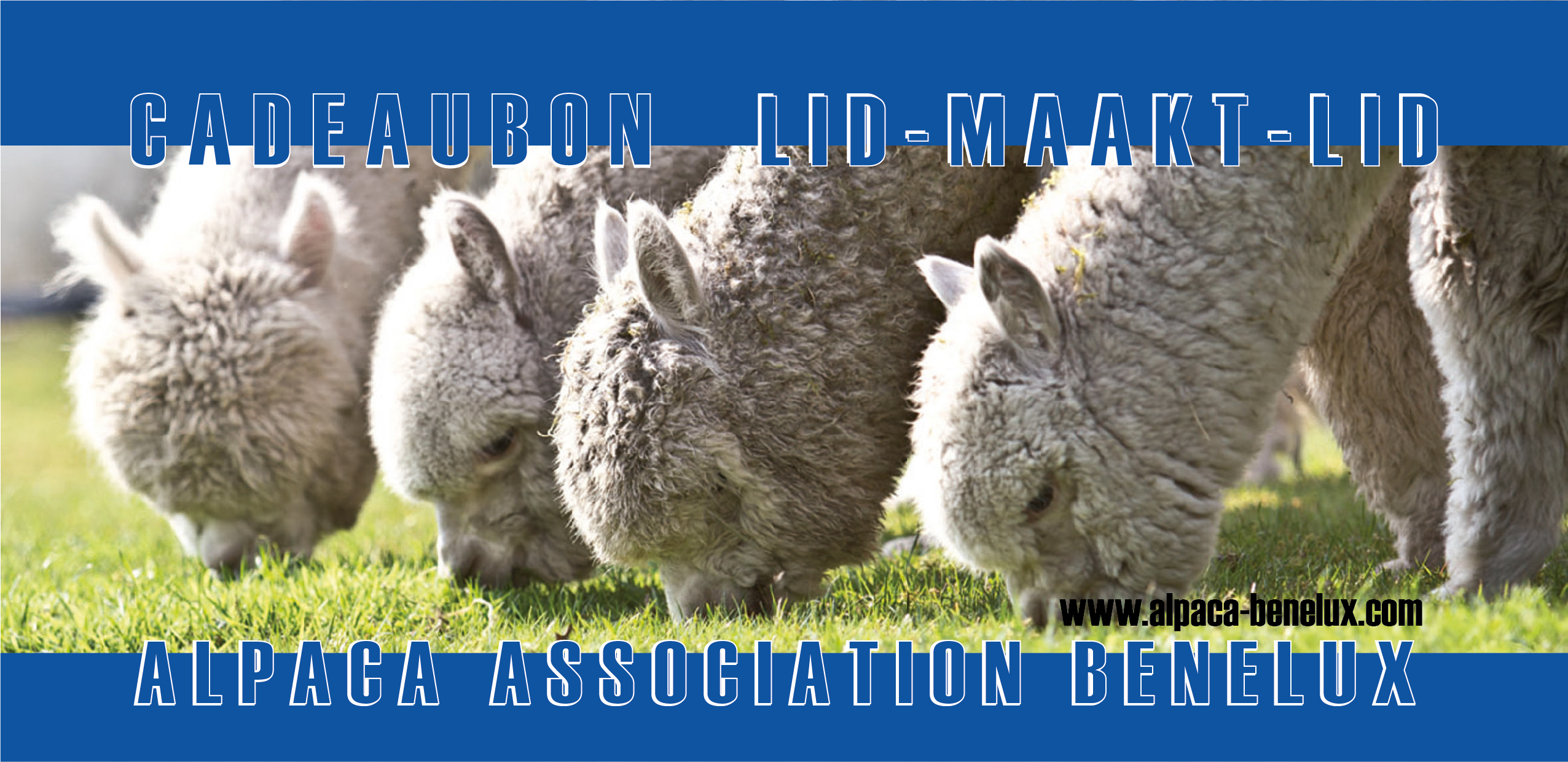 Cadeaubon Lid-maakt-Lid