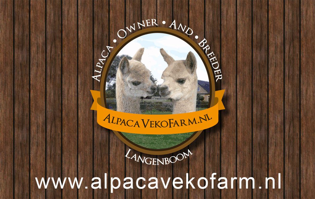 Alpaca VekoFarm Alpaca VekoFarm