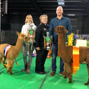 Grand Champion Weelde 2019