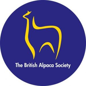 BAS logo