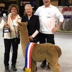 Grand Champion Drachten VekoFarm Clint Eastwood