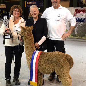 2020 02 Grand Champion Drachten