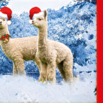 2021 AAB Kerstkaart