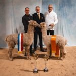 2022 12 Champions Najaarsshow Deurne