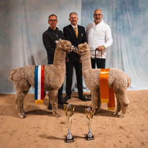 2022 12 Champions Najaarsshow Deurne