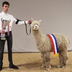 2023 03 Deurne Vj Grand Champion AdP Zoran
