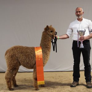 2023 03 Deurne Vj Reserve Champion Lindetrack Artemis