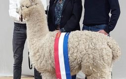 2023 03 Grand Champion