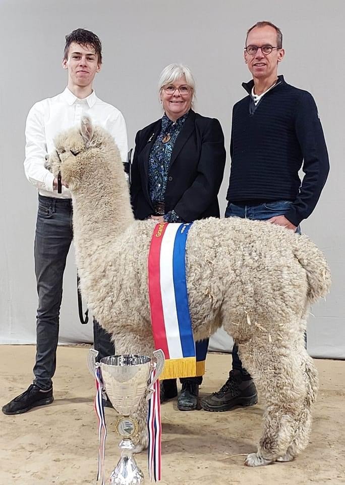 Grand Champion Alpaca Voorjaarsshow Deurne