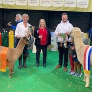 Reserve And Grand Champion