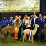 Champions najaarsshow Waregem 2023