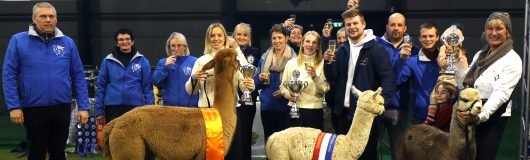 Champions najaarsshow Waregem 2023