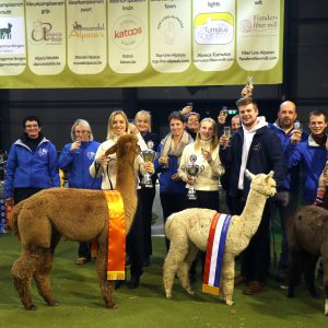 2023 Champions Najaarsshow Waregem