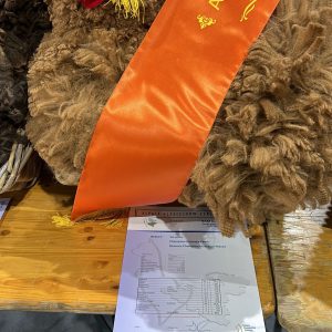 Reserve Grand Champion Fleeces 2023