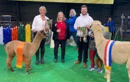 Grand En Reserve Champion