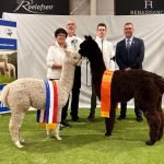 Champions Jubileumshow 2024