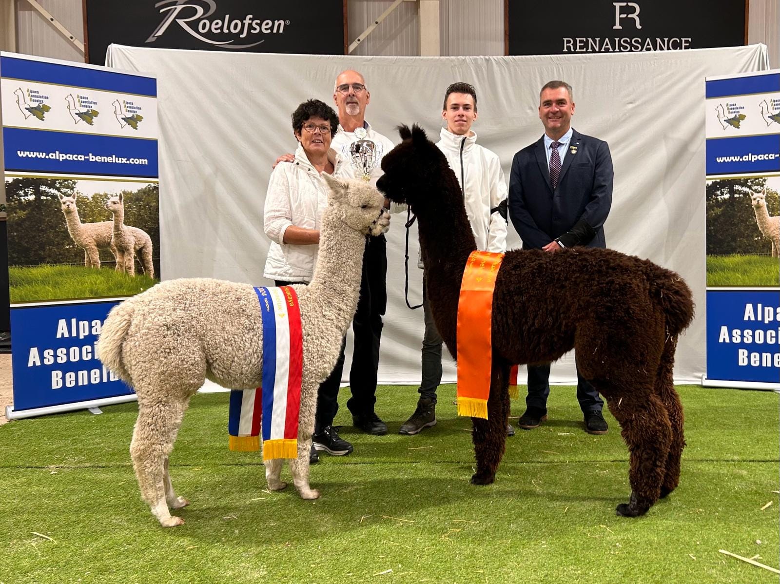 Grand Champion and Reserve Champion Alpaca Jubileumshow Kronenberg 2024