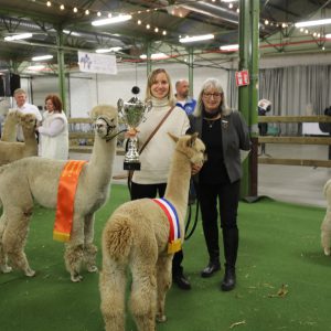 2024 Champions Merelbeke Met Judge