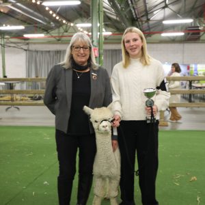 2024 Judges Choice Merelbeke