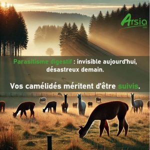 Parasitisme Digestif