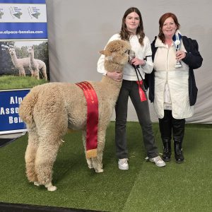 2025 04 Weelde Grand Champion