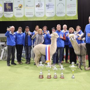 Showteam
